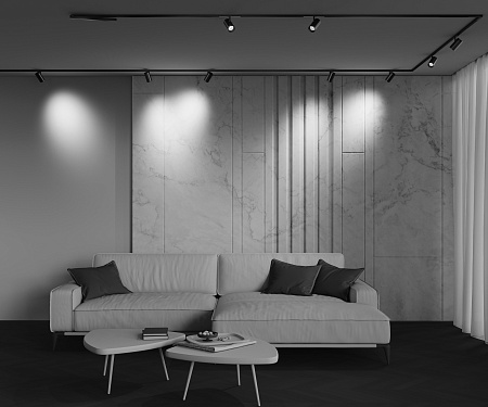 Трековый магнитный светодиодный светильник Maytoni Exility X Focus Led TR243-4-12WTW-DSZ-B