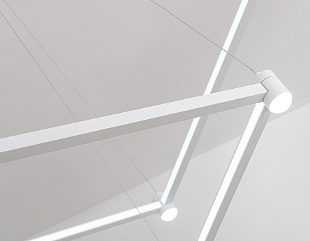 Люстра подвесная LineTech FL5595