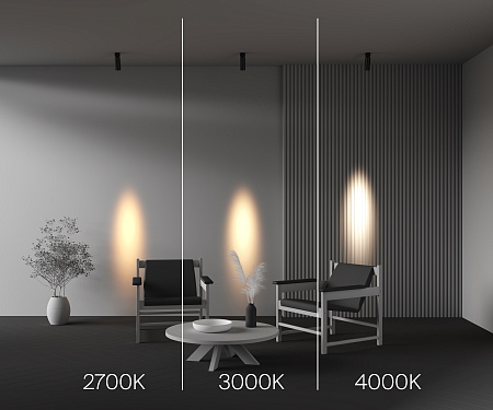 Спот Maytoni FOCUS LED C055CL-L12W4K-SS-B