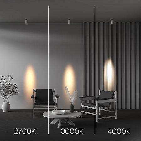 Спот Maytoni FOCUS LED C055CL-L12W3K-SS-W