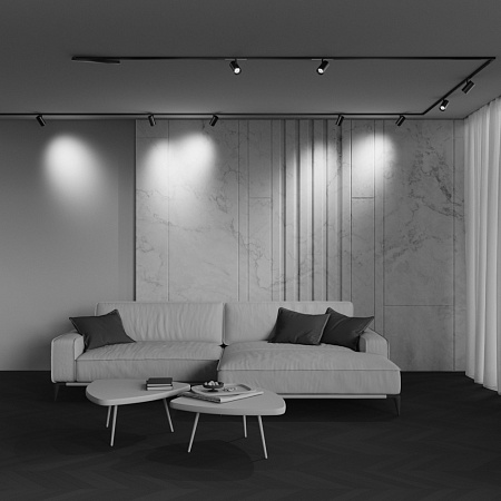 Трековый магнитный светодиодный светильник Maytoni Exility X Focus Led TR243-4-12WTW-DSZ-B