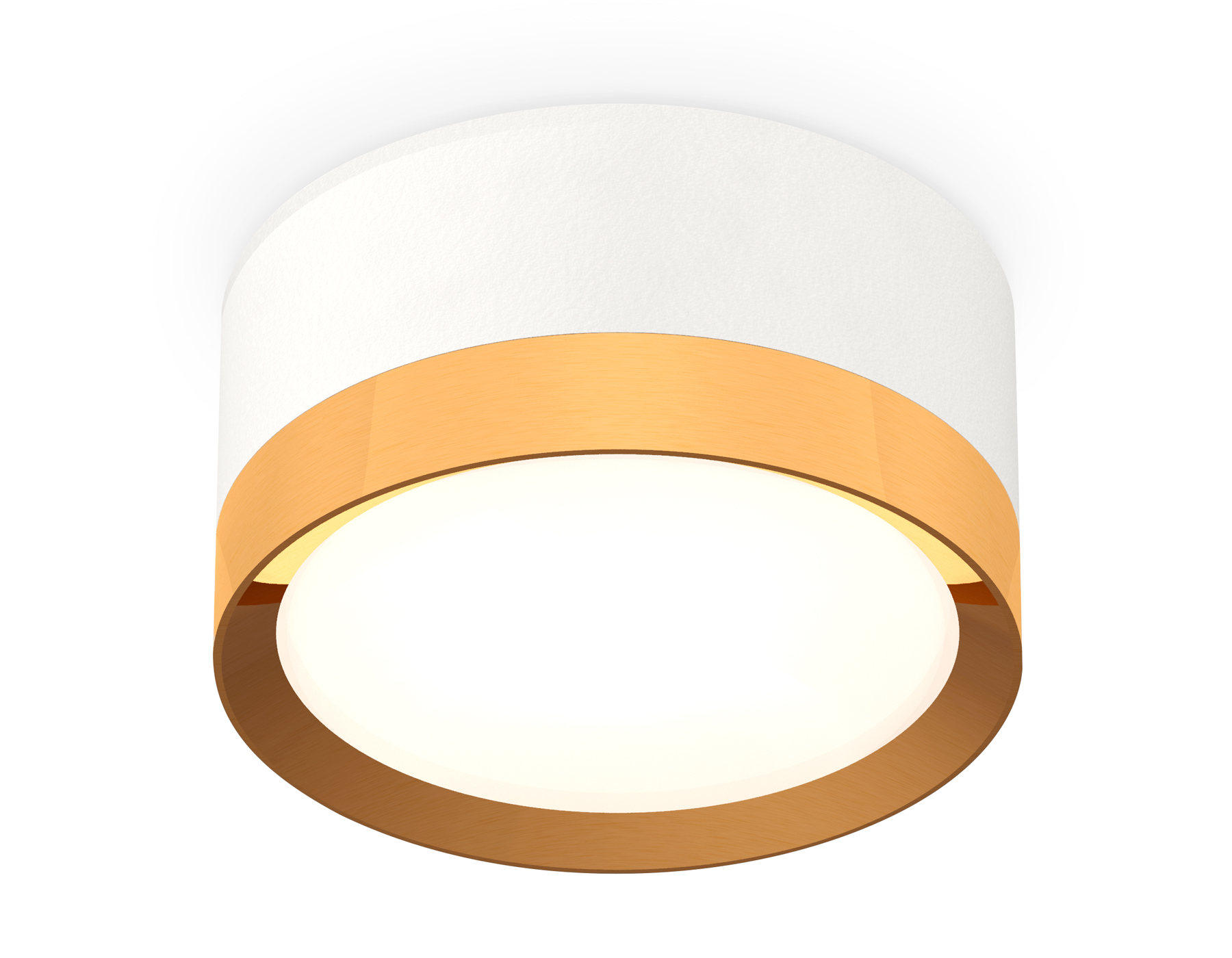 Потолочный светильник XS8101005