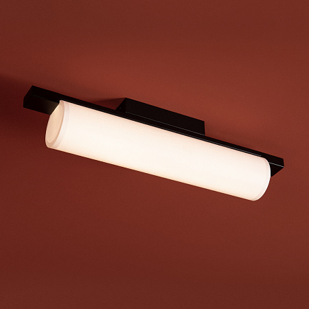 Светильник потолочный светодиодный Freya Even FR5625CL-L20B