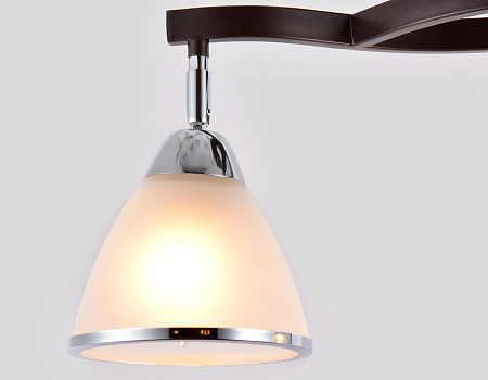 Потолочная люстра Traditional TR3112