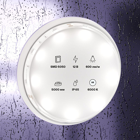 Светодиодная лента 7,2Вт/м 12V IP65 6000K Maytoni 10125 Светодиодная лента 7,2Вт/м 12V IP65 6000K Maytoni 10125