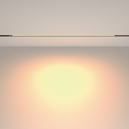 Трековый магнитный светодиодный светильник Maytoni Exility Basis TR231-2-15W3K-B