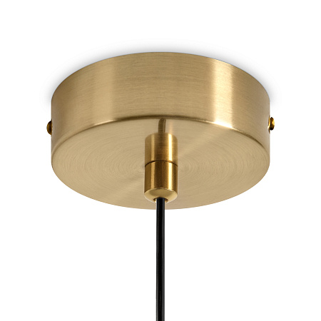 Светильник подвесной Freya Cave FR5631PL-01BS