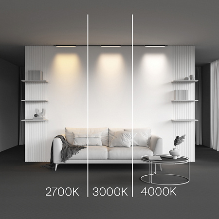 Трековый магнитный светодиодный светильник Maytoni Levity Basis TR192-1-12W2.7K-B