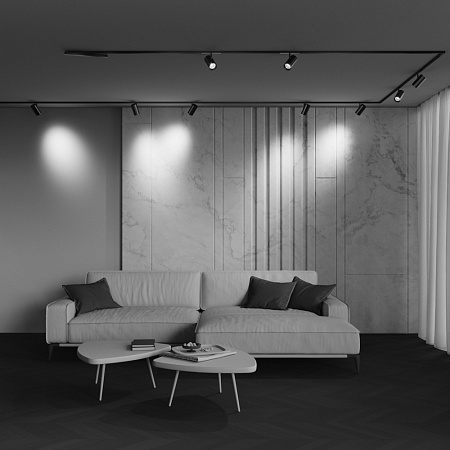 Трековый магнитный светодиодный светильник Maytoni Exility X Focus Led TR243-4-18WTW-DD2-B