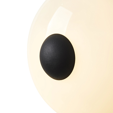 Светильник настенный светодиодный Freya Aqua FR5553WL-L6B