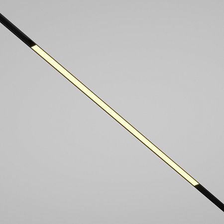 Трековый магнитный светодиодный светильник Maytoni EXILITY Basis TR030-2-30W2.7K-B