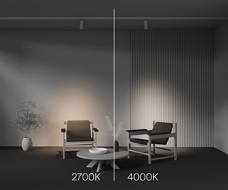 Трековый трехфазный светодиодный светильник Maytoni Trinity Focus Zoom TR198-3-20W2.7K-Z-W Трековый трехфазный светодиодный светильник Maytoni Trinity Focus Zoom TR198-3-20W2.7K-Z-W