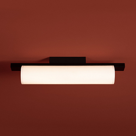 Светильник потолочный светодиодный Freya Even FR5625CL-L20B