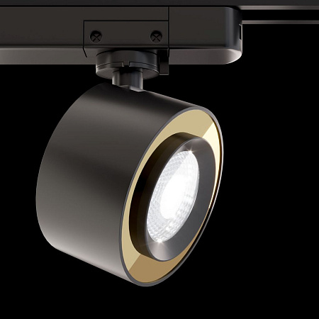 Трековый светильник для однофазного шинопровода Maytoni Unity Track Treo TR023-1-12B3K