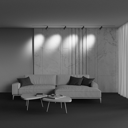 Трековый магнитный светодиодный светильник Maytoni Exility Focus Zoom TR212-1-12WTW-DS-Z-B