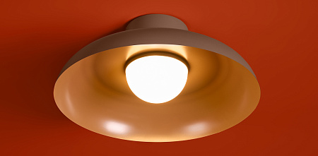 Светильник потолочный светодиодный Freya Movement FR5602CL-L10BR