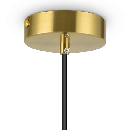 Светильник подвесной Freya Eleon FR5218PL-01BS