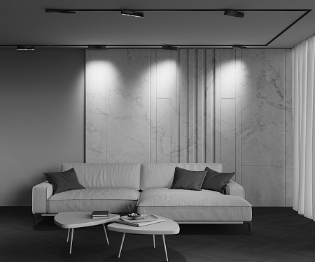 Трековый магнитный светодиодный светильник Maytoni Exility X Points Rot TR242-4-12WTW-DSZ-B