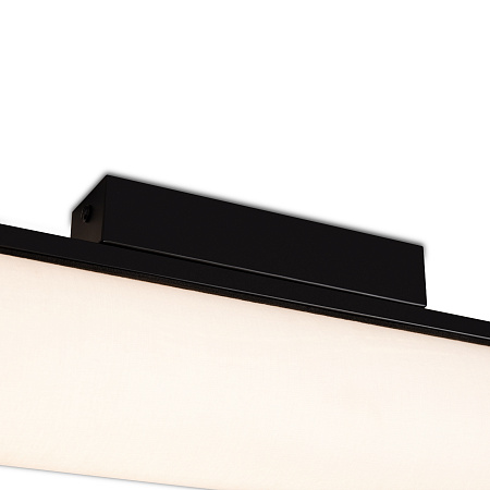 Светильник потолочный светодиодный Freya Even FR5625CL-L20B