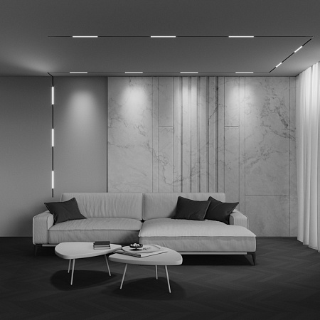 Трековый магнитный светодиодный светильник Maytoni Exility X Basis TR240-2-6W4K-B