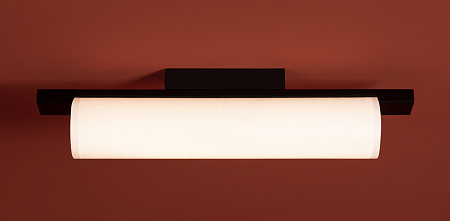 Светильник потолочный светодиодный Freya Even FR5625CL-L20B