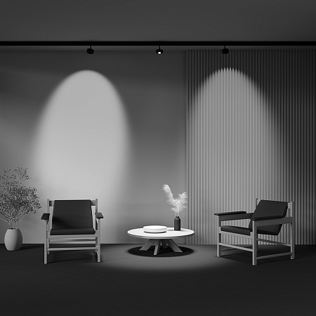 Трековый магнитный светодиодный светильник EXILITY Maytoni Lens TR217-2-15W3K-B