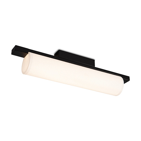 Светильник потолочный светодиодный Freya Even FR5625CL-L20B