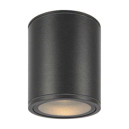 Уличный потолочный светодиодный светильник Maytoni Bar O306CL-L12GF