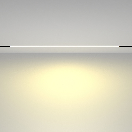 Трековый магнитный светодиодный светильник Maytoni EXILITY Basis TR030-2-30W2.7K-B